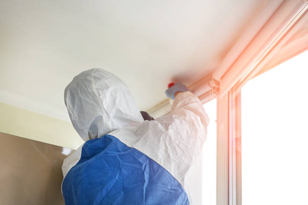 Best Environmental Consulting for Mold Prevention  in Trotwood, OH